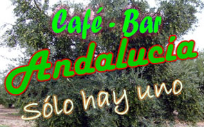 Cafe bar Andalucia